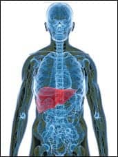 OSA and Fatty Liver Disease