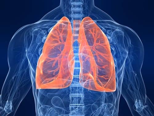 Drug Shows Promise in Regulating Respiratory Drive