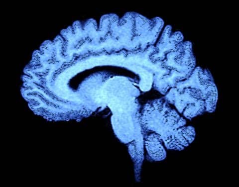 Brain Differences Revealed Between ‘Early Risers’ and ‘Night Owls’