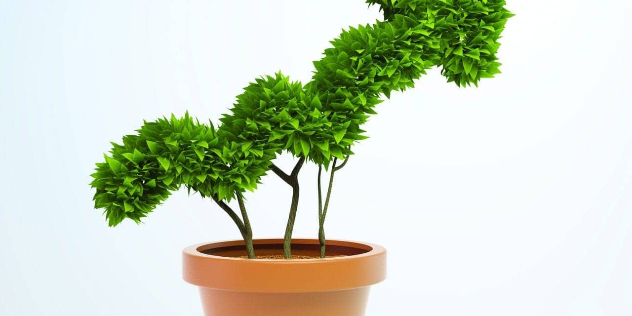 7 Rules for Growing Sleep Service Offerings
