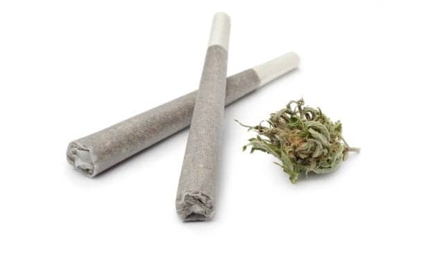 Narcolepsy Diagnosis May Be Confounded by Marijuana Use; Screening Important