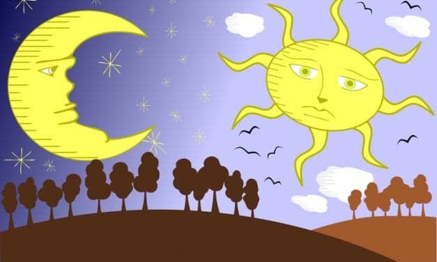 Proteins Critical in Day-night Cycles Also Protect Cells from Mutations