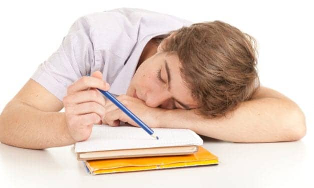 Power Naps Produce Significant Improvement in Memory Performance