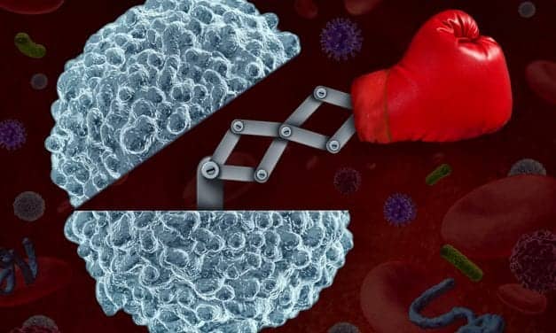 Autoimmune Process Plays Major Role in Triggering Narcolepsy