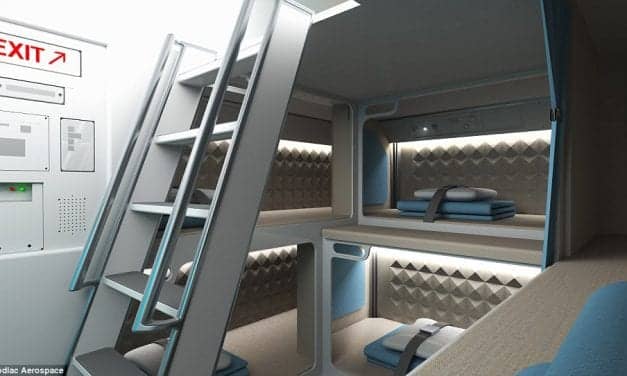 The Luxury Cabin Crew Beds That Beat First Class! New Plane Design Unveils Individual Pods Where Staff Can Sleep In-Flight