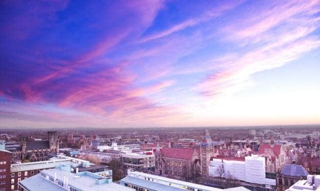 The Role of Light Color, Not Brightness, in Circadian Clock Entrainment