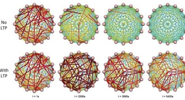 Sleep Triggers Brain Synapses to Strengthen, Weaken