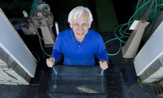 Calcium Channel Essential for Deep Sleep Identified