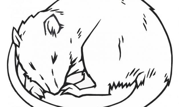 Rats “Dream” Paths to Brighter Future