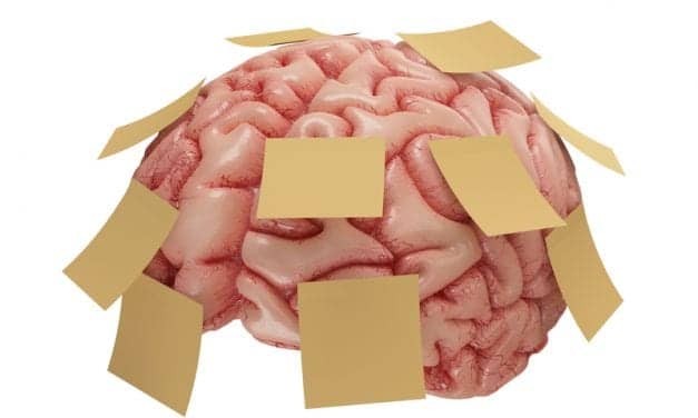 Sleep May Reduce Brain’s “Forgetting” Signal