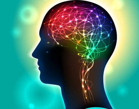 Researchers Delve Into What Happens During Sleep