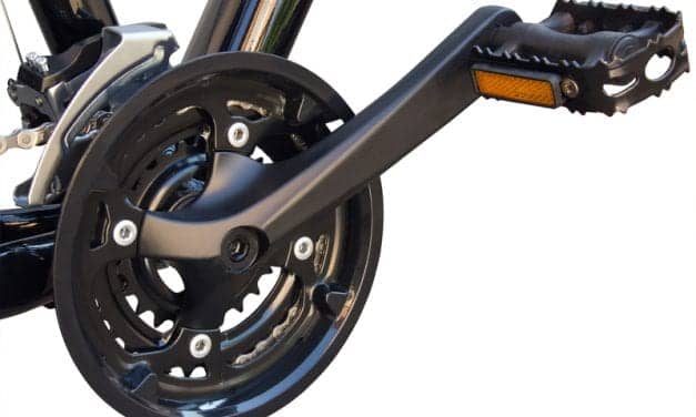 Bicycle Mechanism Turns Key Neurons On, Off During 24-hour Day