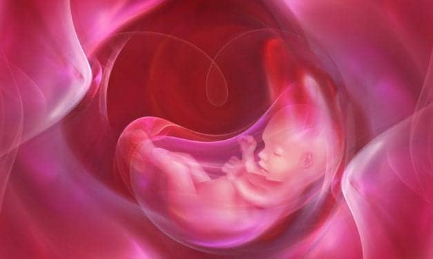 Are Changes in the Placenta Linked to Sleep Abnormalities?