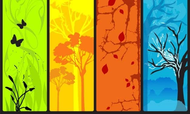 Melatonin Explains Seasonal Multiple Sclerosis Flare-ups