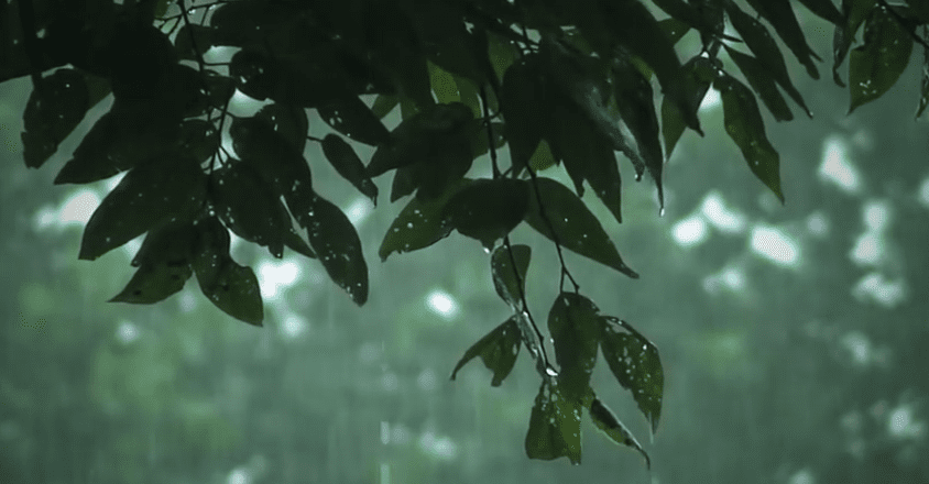 Video: Mindfulness TV Ad Intended to Lull Viewers to Sleep