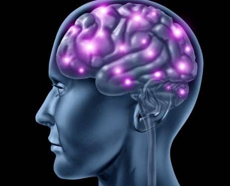 How Sleep Nutures Your Brain