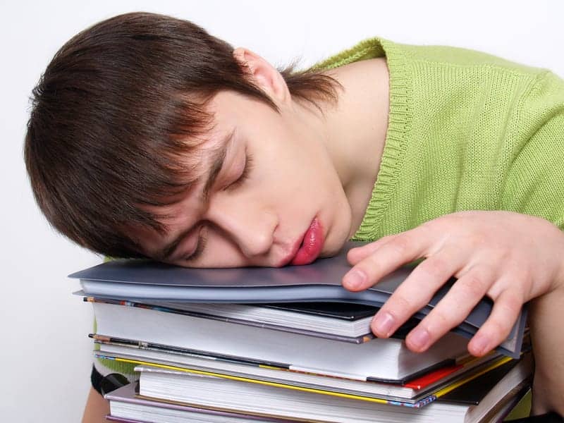 Another Call to End Early Starts in Education