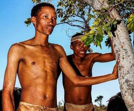 Hunter-Gatherers Do Not Get More Sleep Than People in Industrialized Societies Do