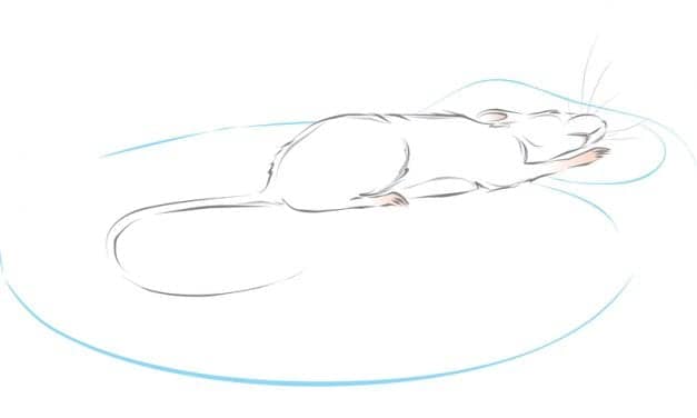 Activating Small Group of Neurons in Medulla Causes Rapid Transition to REM Sleep