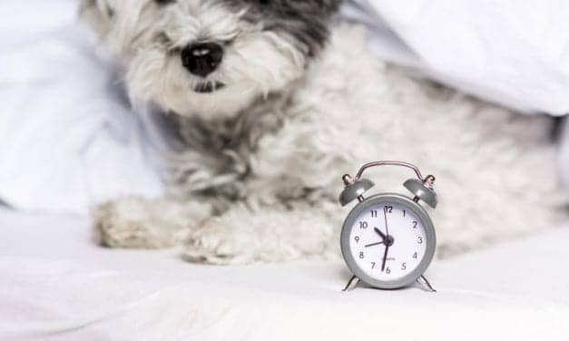 Editor’s Message: Time (for) Change