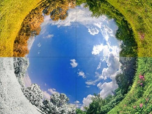 Narcolepsy and the Seasons