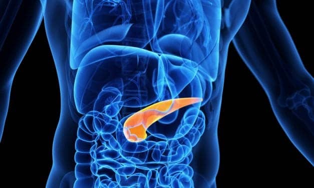 Circadian Clock Controls Insulin, Blood Sugar In Pancreas