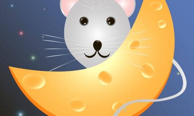 Eating at Typical Sleep Times Impairs Learning