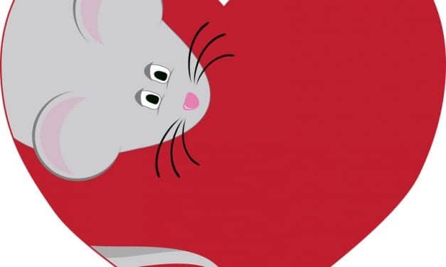 Heart Function Associated With Narcolepsy-linked Orexin Receptor Pathway