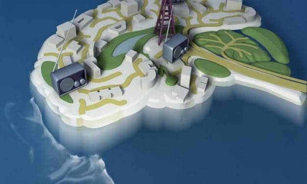 Scientists Manipulate Consciousness in Rats