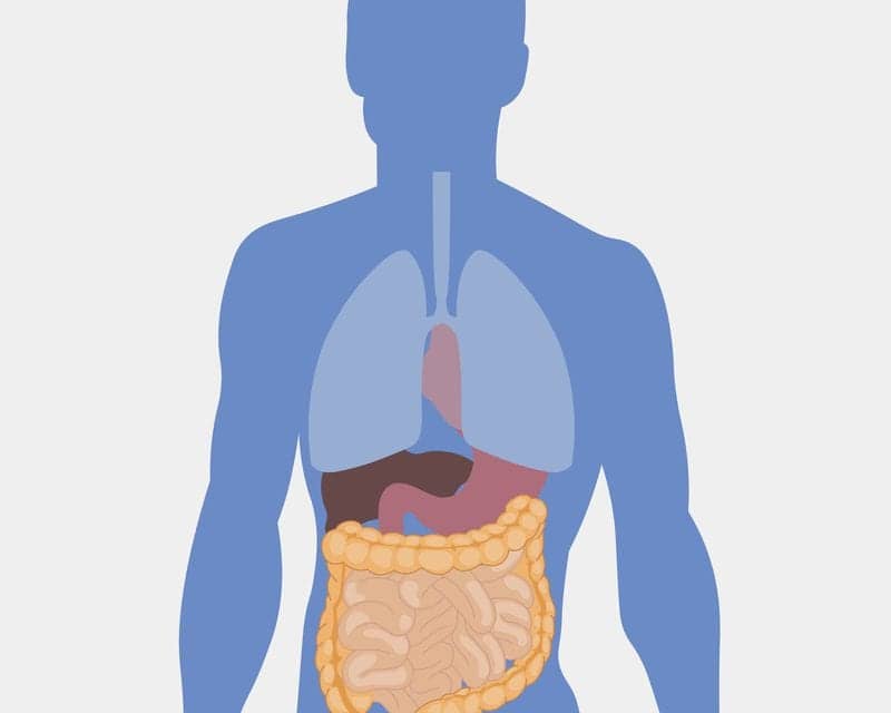 Obstructive Sleep Apnea-induced Hypertension Linked to Gut Microbiome