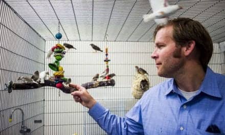 WKU Professor Studies Songbirds and Sleep Patterns