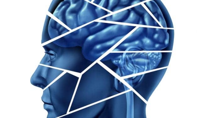 Sleep May Help Us to Forget By Rebalancing Brain Synapses