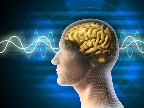 Individuals Exposed to Blue Wavelength Lights Experienced Faster Reaction Times