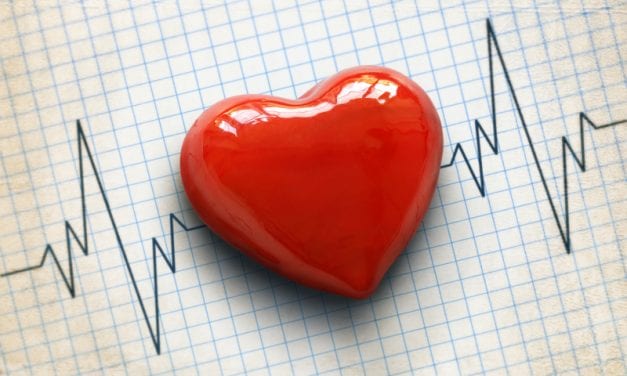 Scientists Uncover Circadian Rhythm in Heart Cells