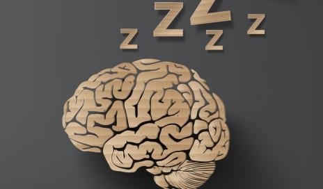 sleep science brain