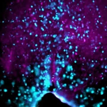 Brain’s Biological Clock Stimulates Thirst Before Sleep