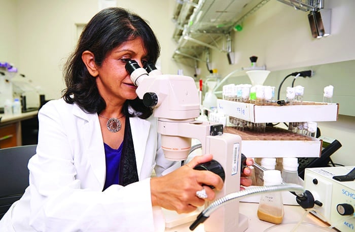 How Time Flies: Amita Sehgal, PhD