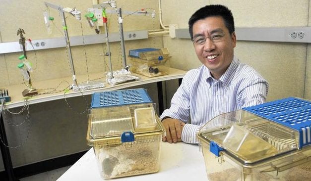 UCI Study Could Eventually Help People with Sleep Disorders, Researchers Say