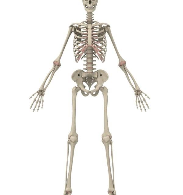 Prolonged Sleep Disturbance Can Lead to Lower Bone Formation