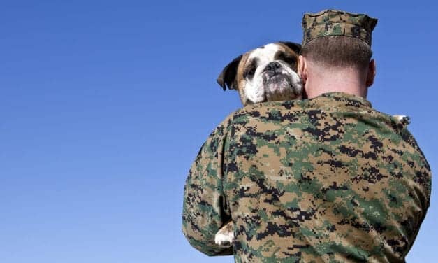 Warrior Care Network Targets Sleep Issues in Wounded Veterans