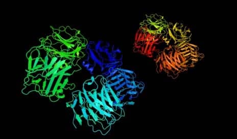 CRP inflammation