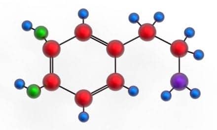 Scientists Identify Connection Between Dopamine and Behavior Related to Pain and Fear