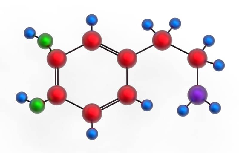 Scientists Identify Connection Between Dopamine and Behavior Related to Pain and Fear