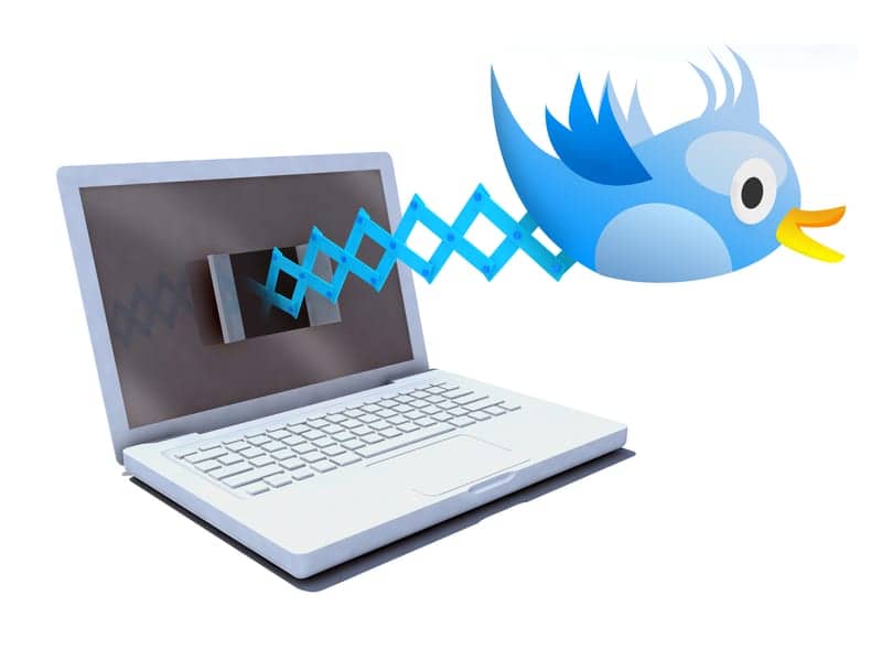 Study of 800 Million Tweets Finds Daily Cycles in Thinking Patterns