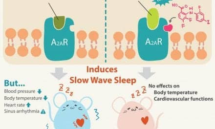 Mouse Study Provides Clues to Next-Generation Insomnia Drug Possibility