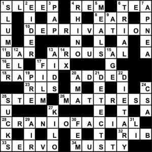 crossword11solution