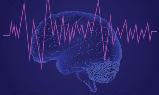 The Brain Shows Sleep-Like Activity When the Mind Wanders, Study Finds