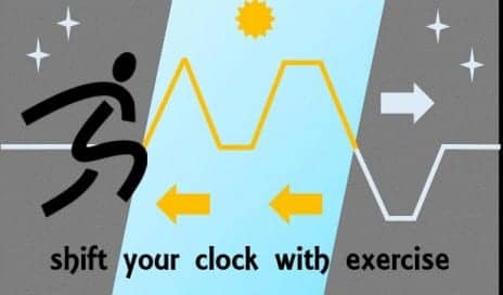 exercise body clock