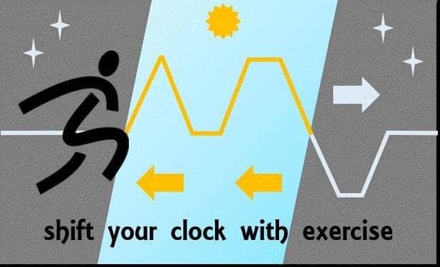 Exercise Can Shift Body Clock, Possibly Countering Jet Lag and Other Circadian Disorders