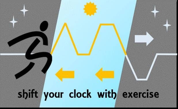 Exercise Can Shift Body Clock, Possibly Countering Jet Lag and Other Circadian Disorders